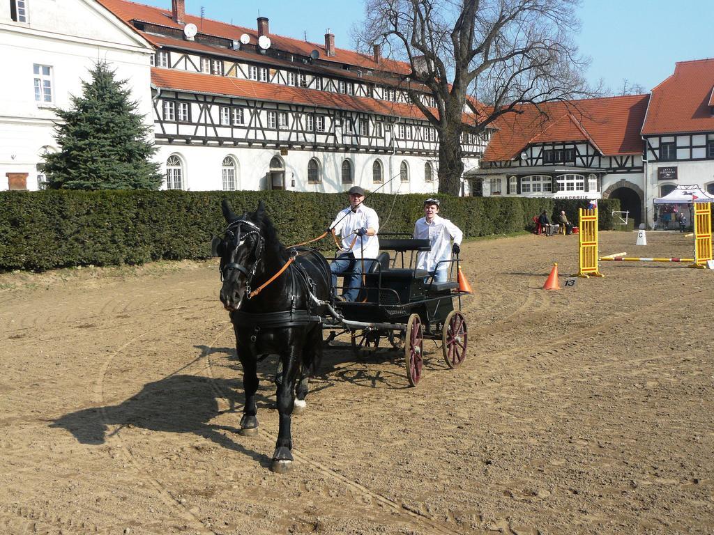 Srebrna Góra Folwark Leszczynowkaヴィラ エクステリア 写真